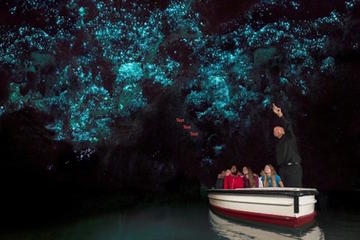 Private Shore Excursion: Waitomo Glow Worm Caves Experience from Tauranga
