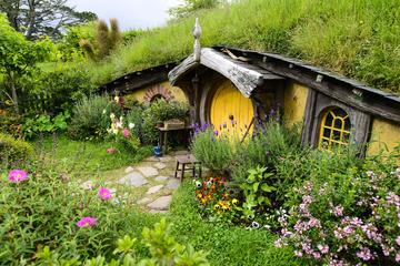 Shore Excursion: Hobbiton and Lord of the Rings Movie Set Tour