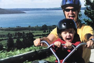 Tauranga Shore Excursion: Rotorua Highlights Tour Including Cultural Performance and Gondola Ride