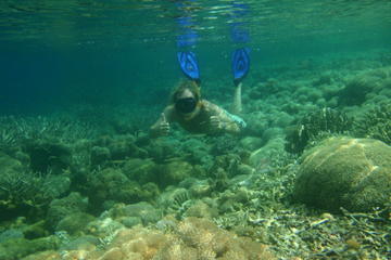 Gili Island Snorkeling Day Trip