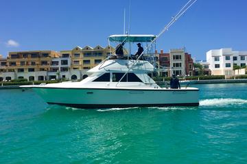 Marlin Fever Fishing from Punta Cana