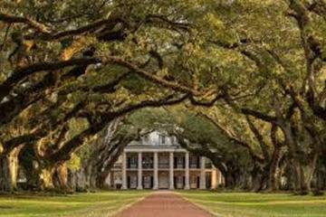 Oak Alley or Laura Plantation Tour from New Orleans
