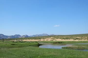 7-Night Kharkhorum, Tsenkher Hot Spring and Khustai National Park Tour