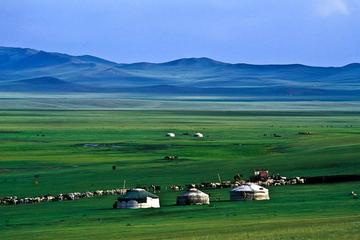 Ulaanbaatar Dugana Khad resort Horseback riding 2day