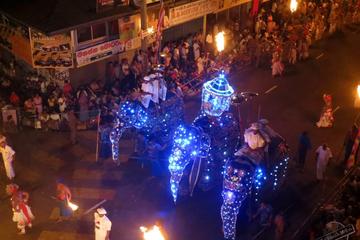 2-Day Private Kandy Esala Perahera Festival Tour