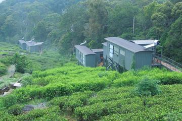3 Days - Different discovery private wildlife tour