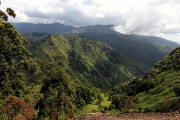 8-Day Sri Lanka Experience in a Homestay from Colombo