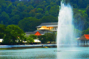 Full day private custom tour to Kandy