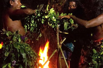 Full day tour to remote jungle village of indigenous people from Kandy