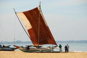Lagoon Escapes Negombo Day Trip