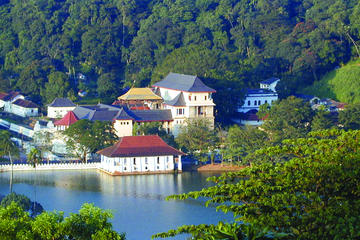 Private & Custom Kandy tour from Bentota and Beruwela