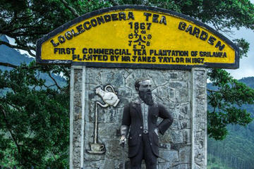 Private Tea Tour to the James Taylor's Loolkandura Estate from Kandy