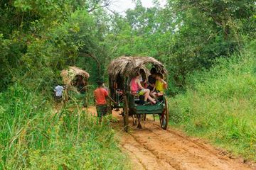 Private Village tour in Sigiriya with Lunch
