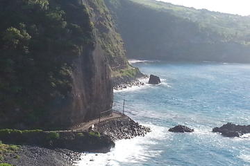 Private Tour: Road To Hana Tour