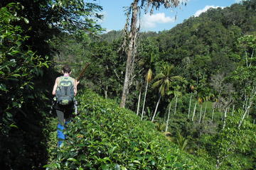 Galle Hiking Day Tour in Hayare