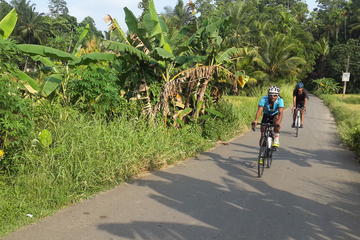 Sporting Cycling Tour in Galle