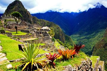 10-Day Best of Peru Tour: Machu Picchu, Cusco and Puno