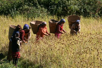 4-Night Annapurna Region Trek from Kathmandu