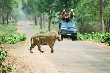 Chitwan Jungle Safari Tour