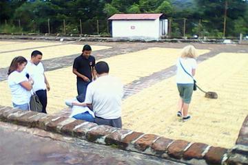 Full Day Tour: Coffee Manufacturer and Thermal Water of San Salvador