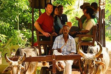 Half day Tour to SHILPARAMAM (typical Indian village)