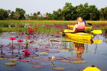 Goa Kayaking Excursion of Sal Backwaters