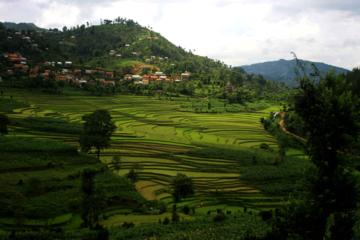 2-Day Balthali Village Tour from Kathmandu