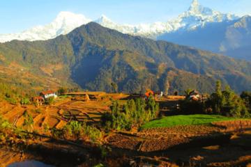 Dhampus Trek from Pokhara