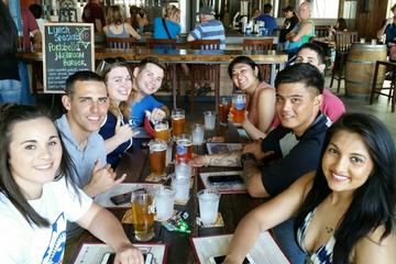 2.5-Hour Beer Tour By Shared Bike in Honolulu