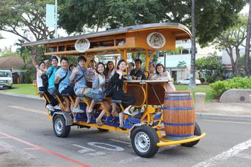 2-Hour Art Tour of Honolulu by Shared Bike