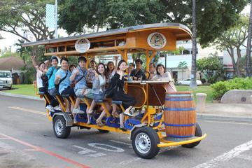 Honolulu Art Tour with Hotel Pickup