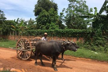 2 Hour Buffalo Cart Ride around Siem Reap