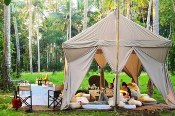 Afternoon Royal High Tea Escape