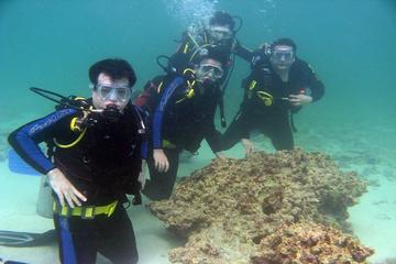 Cham Island Full Day Trip with Scuba Diving