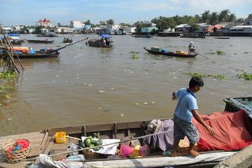 Day Trip to Mekong Delta from Ho Chi Minh City Including Boat Trip