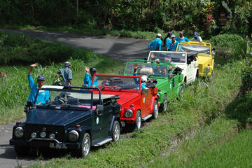 Full-Day Bali Contrasts Tour by Classic VW