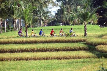 Full-Day Batur Village Cycling Tour