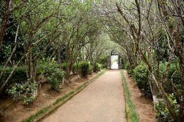 Full-Day Bike Tour of Hue's Aristocratic Garden Houses
