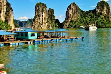 Full-Day Halong Bay Tour with Cave Exploration from Hanoi