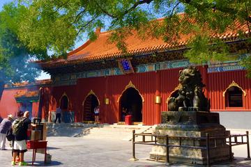 Full Day Historic Beijing Temples Pandas and Palaces