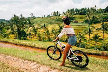 Full Day Jatiluwih Cycling by E-Bike