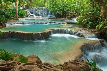 Full-Day Kuang Si Waterfalls Day Trip from Luang Prabang