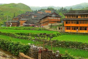 Full Day Longsheng Rice Terraces