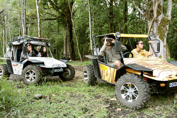Full Day Luwak Trails Expedition in Munduk