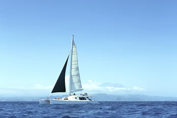 Full Day Sailing with Waka