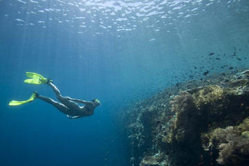 Full Day Snorkling at USAT Liberty and East Bali