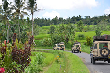 Full Day The Countryside of Bali