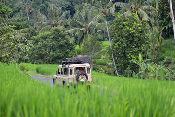 Full Day The Heart Bali Land Cruise With Waka