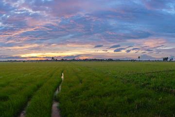 Full Day The Secrets of Bali