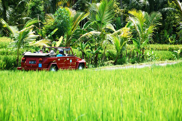Full Day West Bali Discovery by VW
